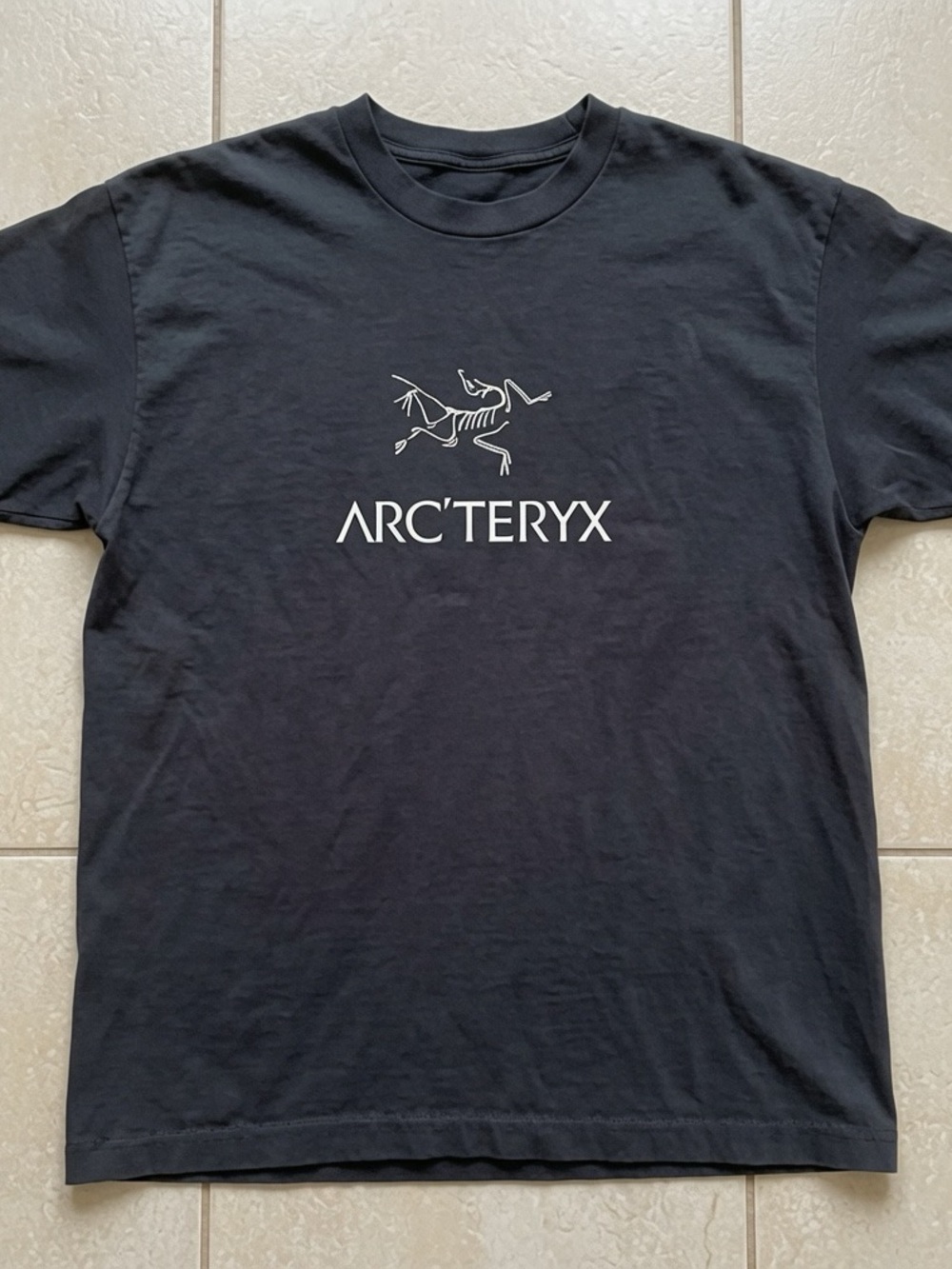 Arcteryx Arc' World Black T-shirt
